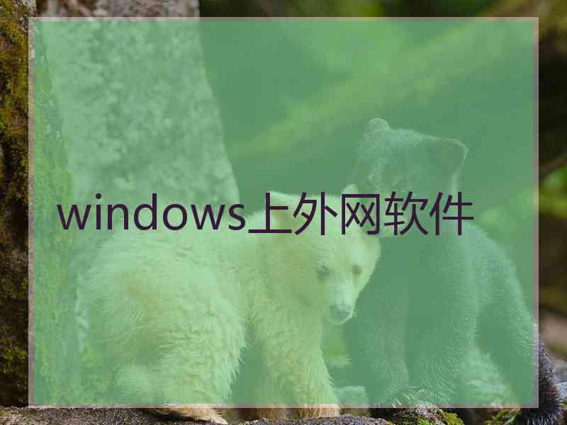 windows上外网软件