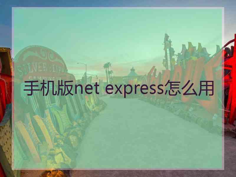 手机版net express怎么用