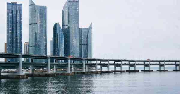 佛跳墙下载
