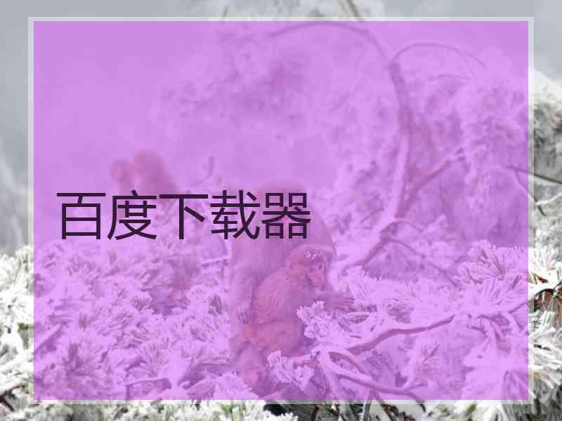 百度下载器