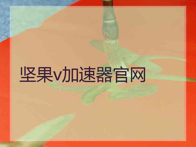 坚果v加速器官网