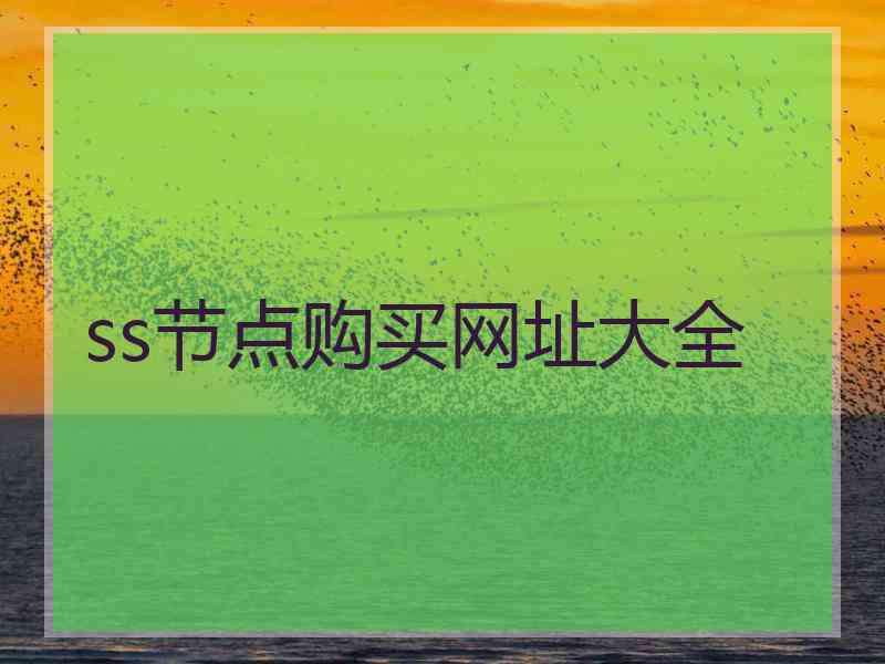 ss节点购买网址大全