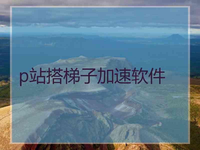 p站搭梯子加速软件