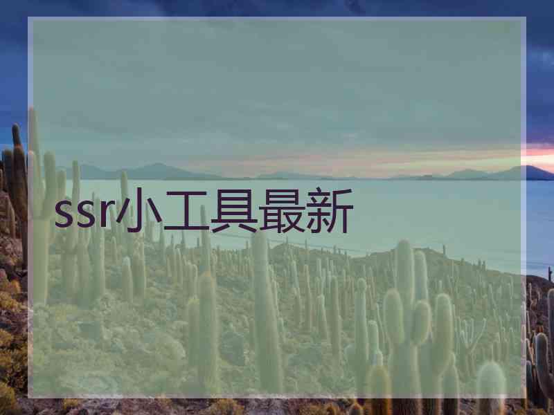 ssr小工具最新
