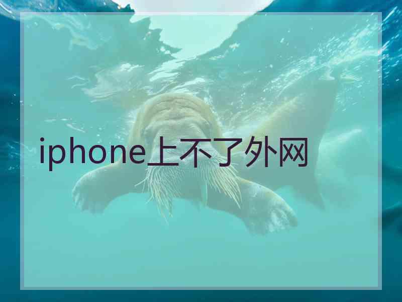 iphone上不了外网