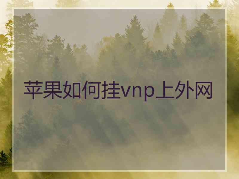 苹果如何挂vnp上外网