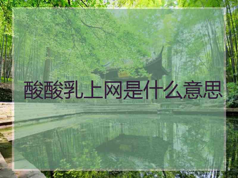 酸酸乳上网是什么意思