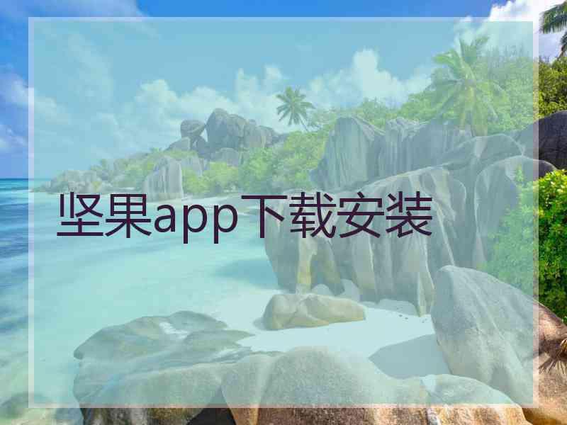 坚果app下载安装
