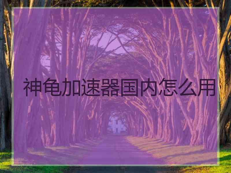 神龟加速器国内怎么用