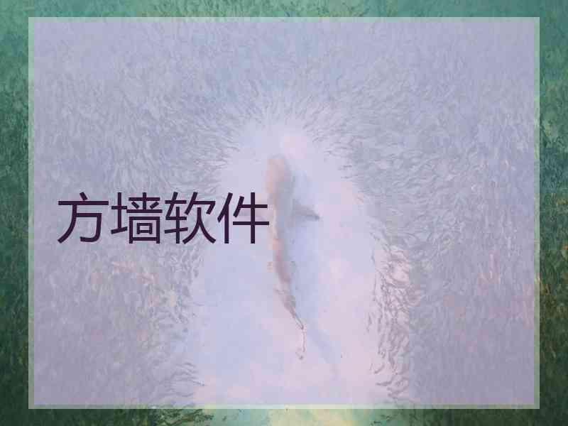 方墙软件