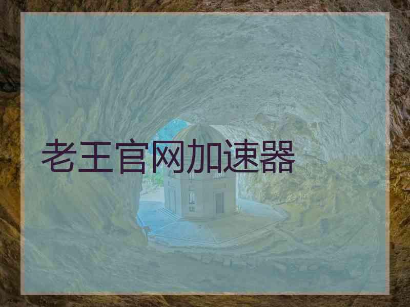 老王官网加速器