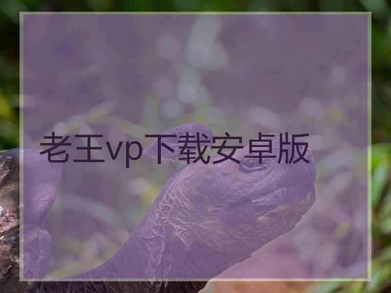 老王vp下载安卓版