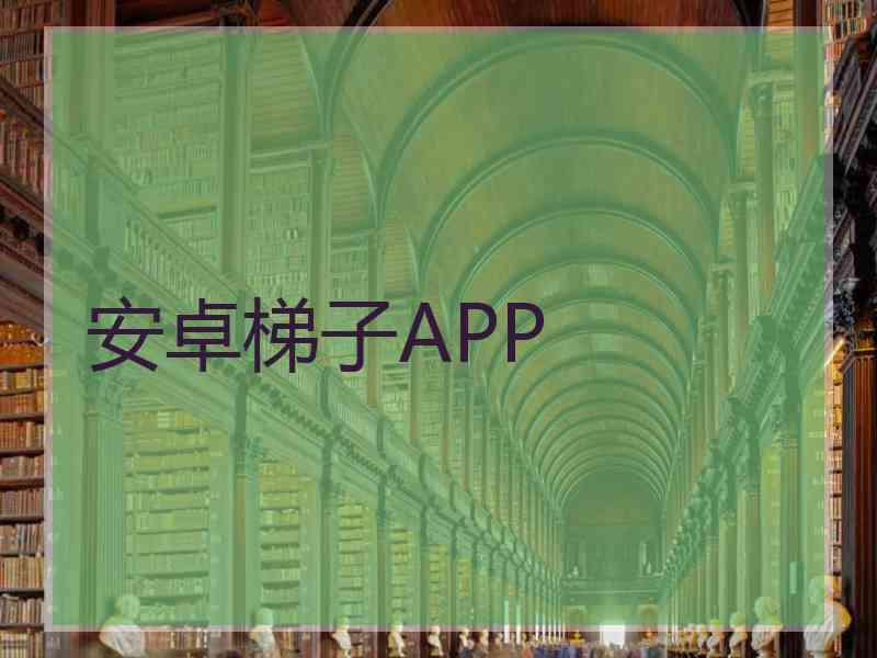 安卓梯子APP