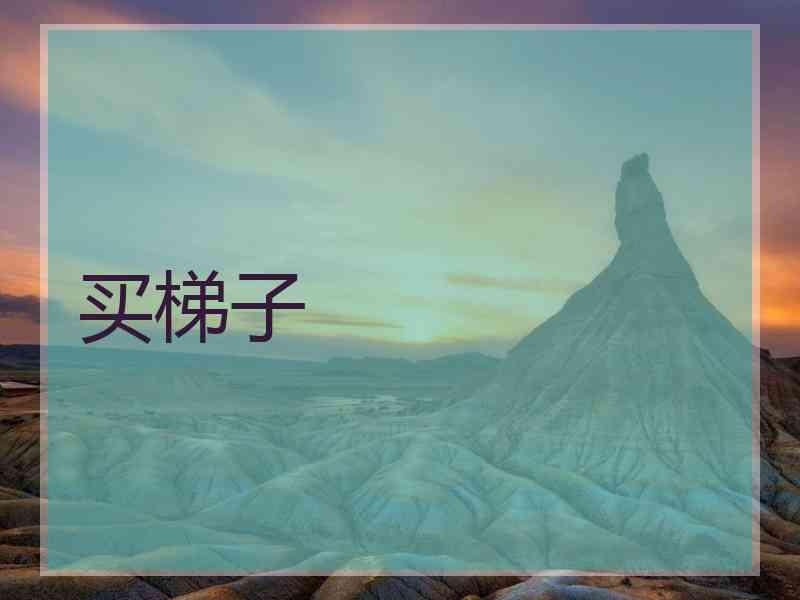 买梯子