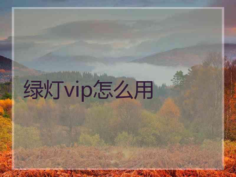 绿灯vip怎么用