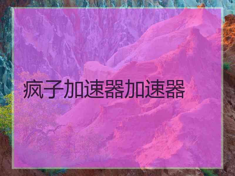 疯子加速器加速器