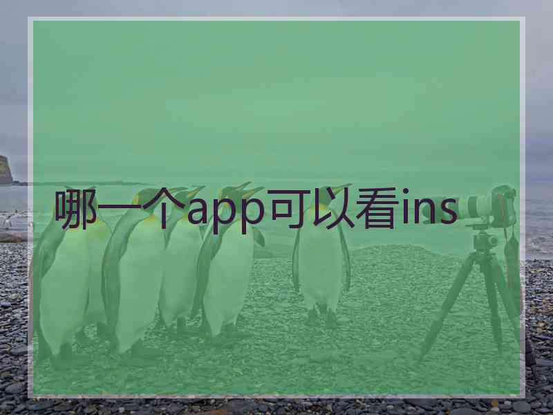 哪一个app可以看ins