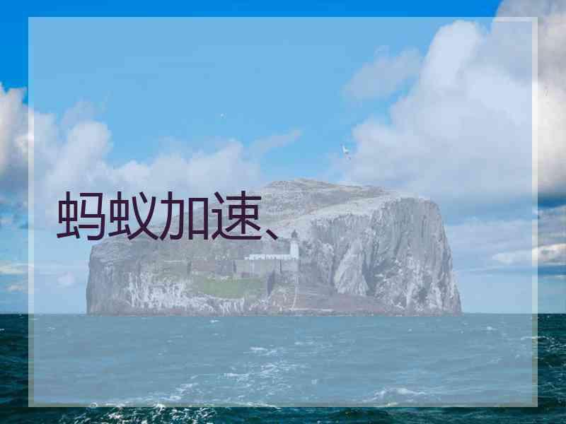 蚂蚁加速、