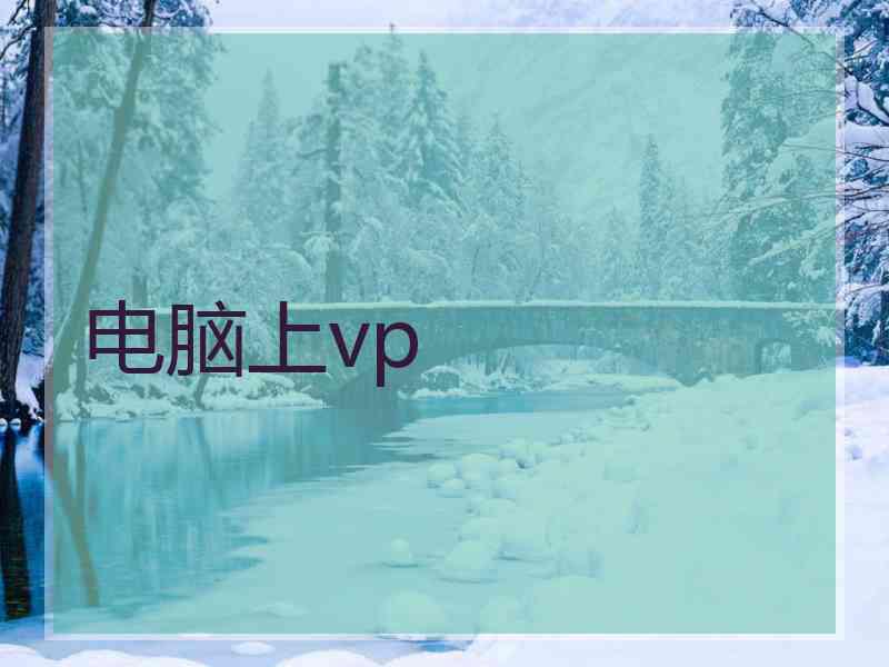 电脑上vp