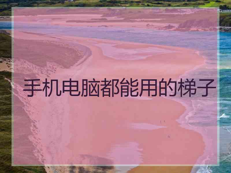 手机电脑都能用的梯子