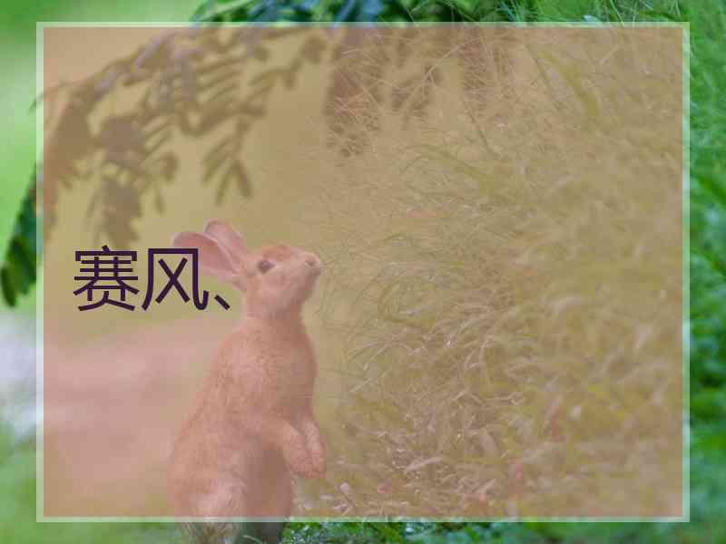 赛风、