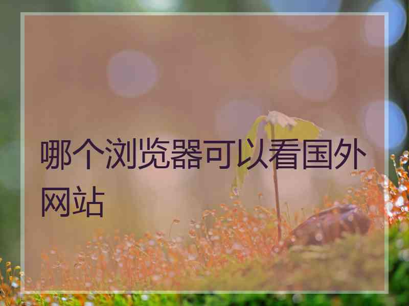 哪个浏览器可以看国外网站