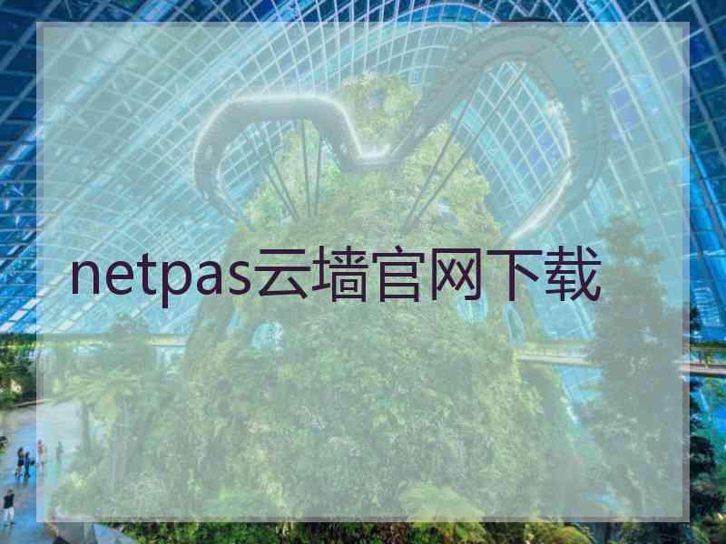 netpas云墙官网下载