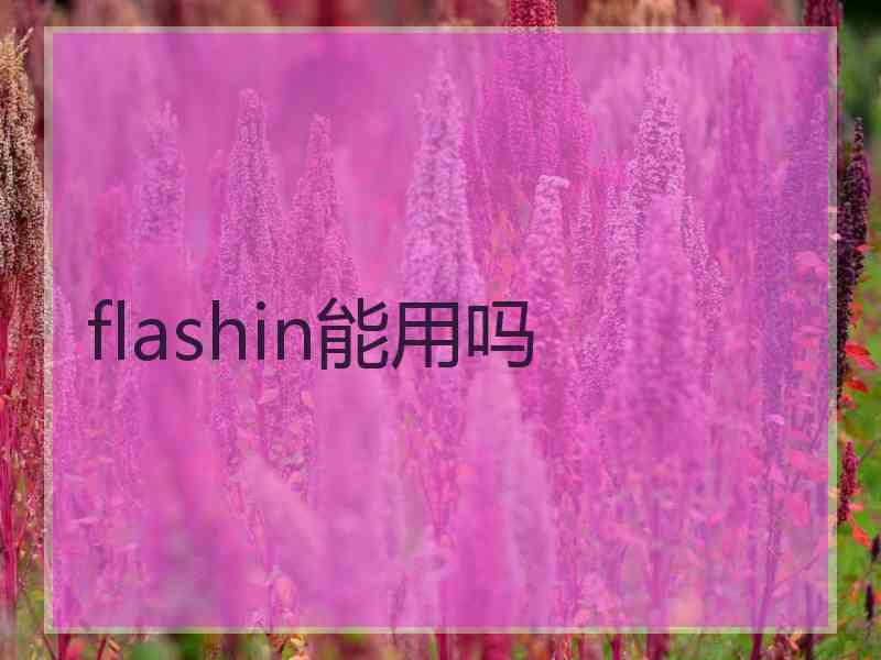 flashin能用吗