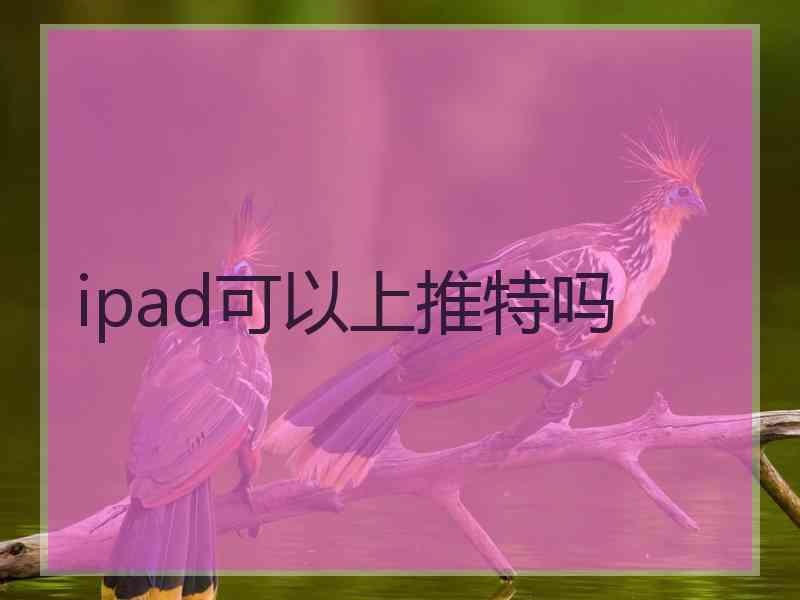 ipad可以上推特吗