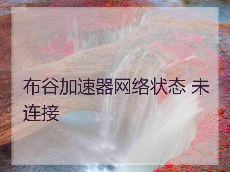 布谷加速器网络状态 未连接