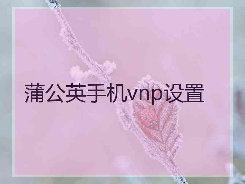 蒲公英手机vnp设置