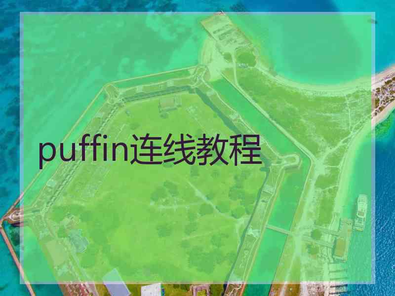 puffin连线教程