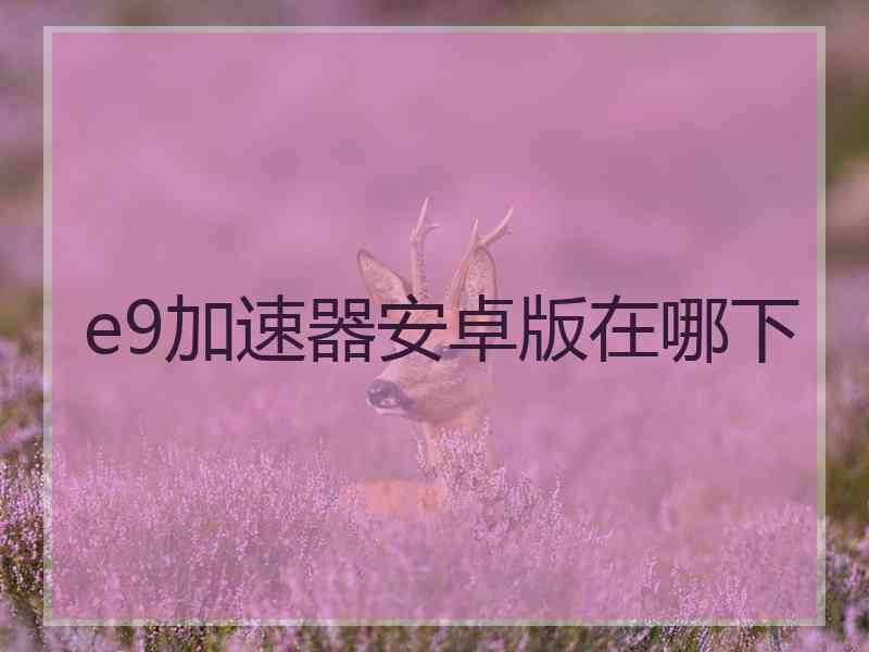 e9加速器安卓版在哪下