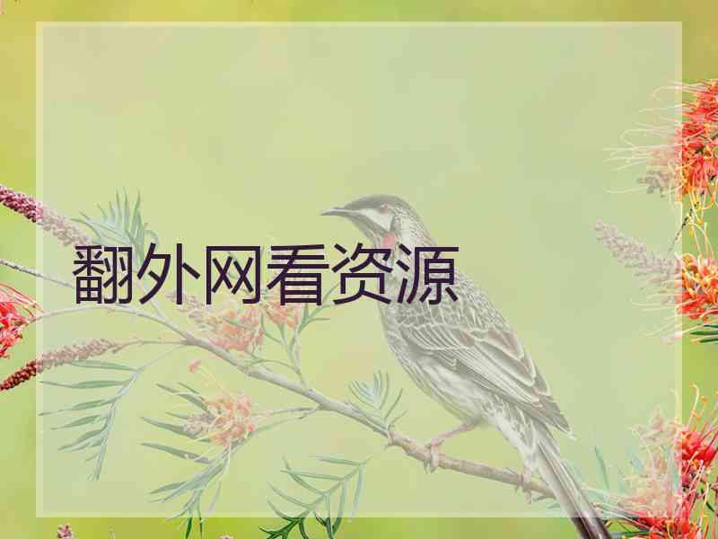 翻外网看资源