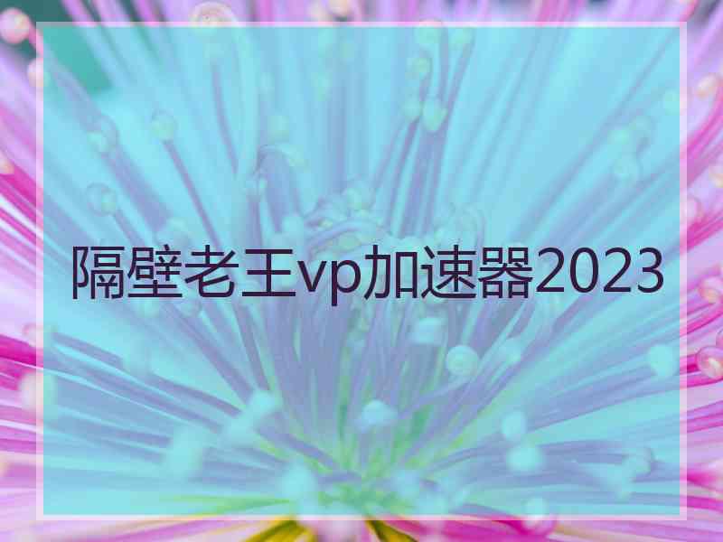 隔壁老王vp加速器2023
