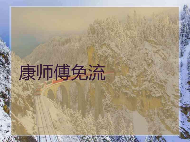 康师傅免流