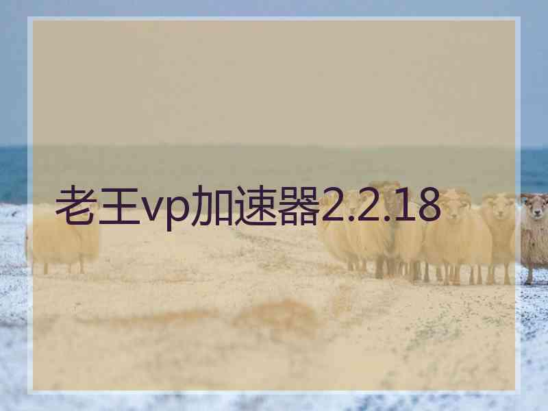 老王vp加速器2.2.18