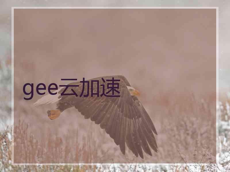 gee云加速