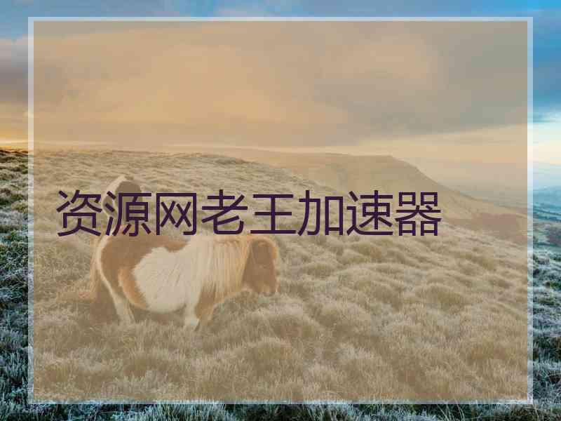 资源网老王加速器