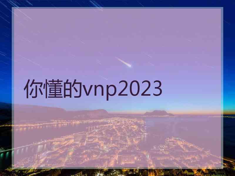 你懂的vnp2023
