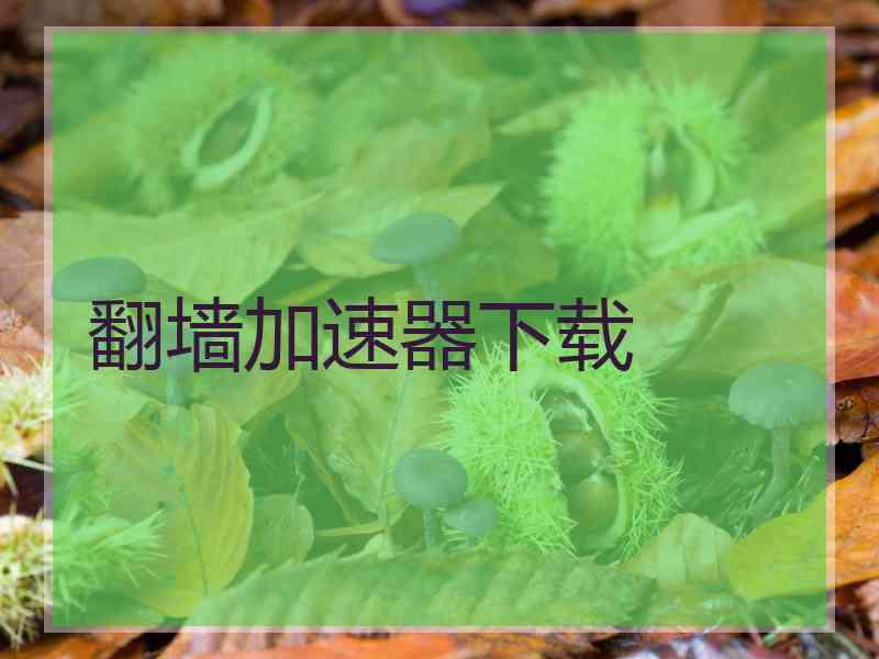翻墙加速器下载
