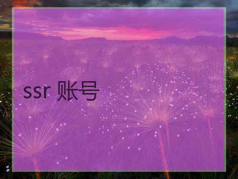 ssr 账号