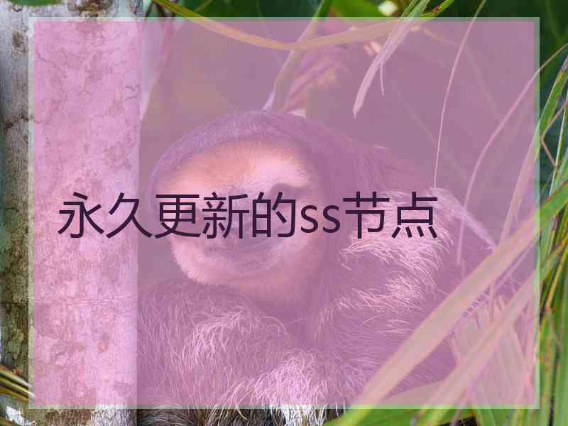 永久更新的ss节点