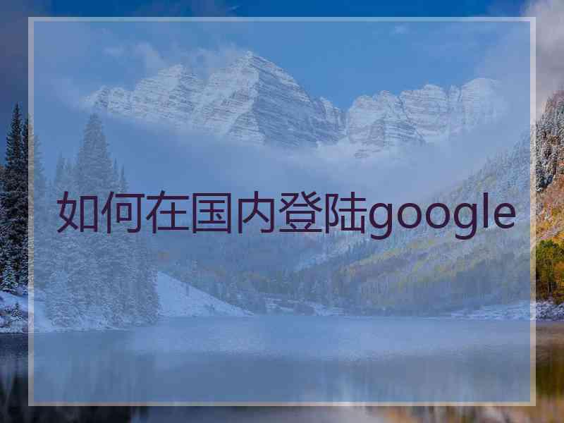 如何在国内登陆google