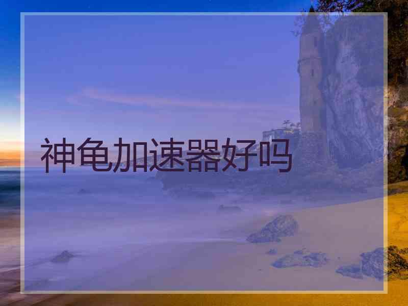神龟加速器好吗