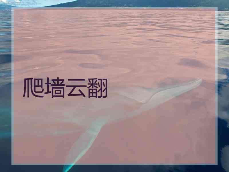 爬墙云翻