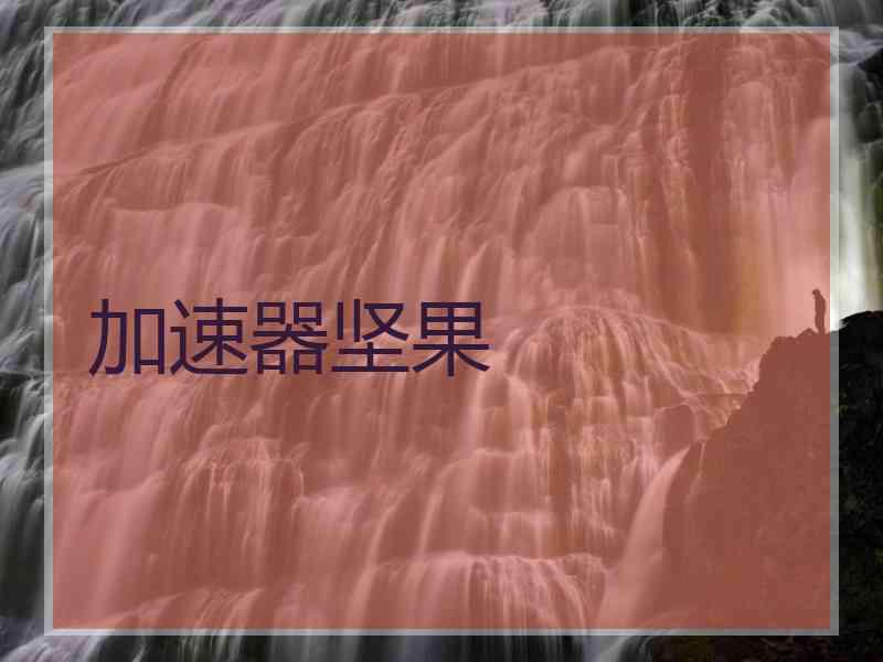 加速器坚果