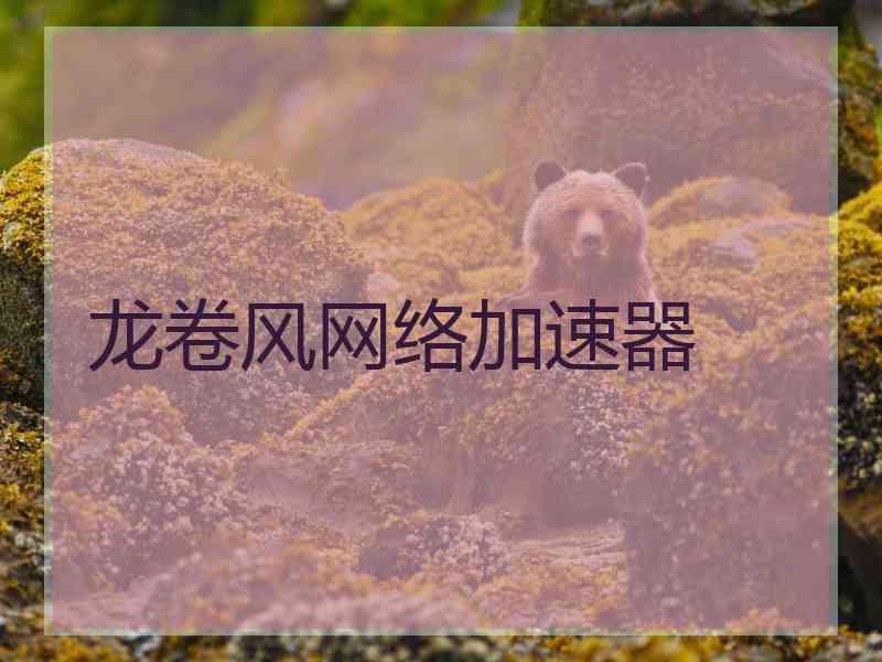 龙卷风网络加速器