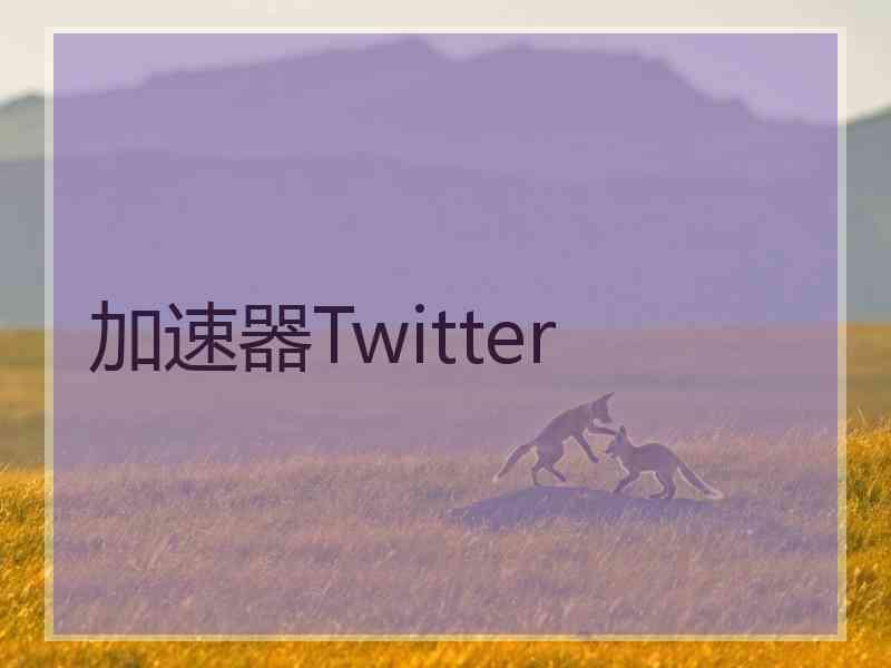 加速器Twitter