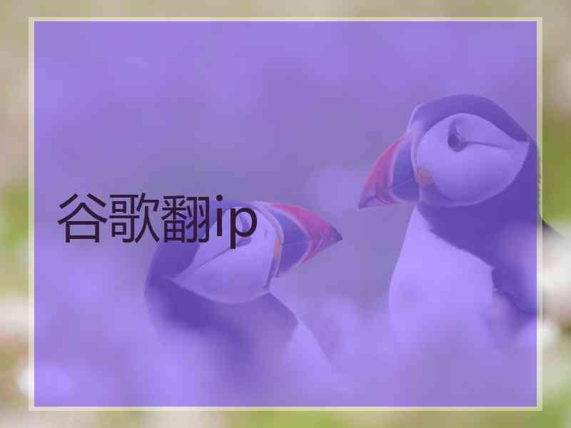 谷歌翻ip
